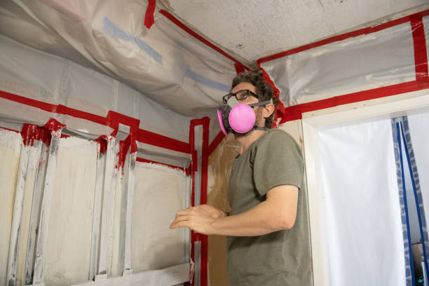 Trusted Sachse, TX Mold Removal Experts